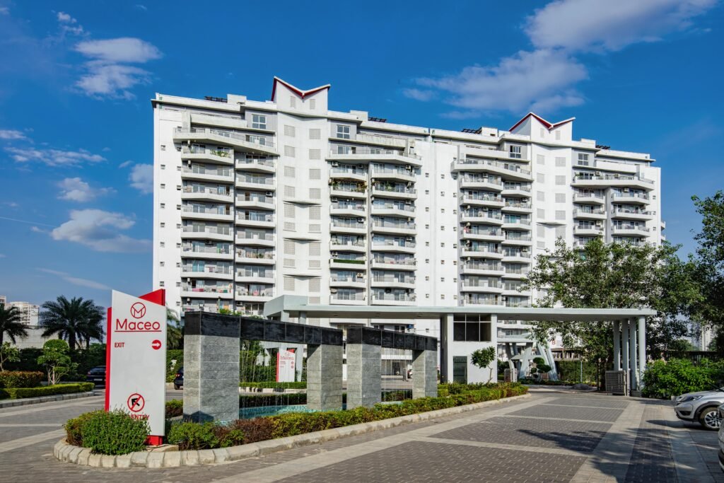 TARC MACEO 01 ©Parwez K Photography min