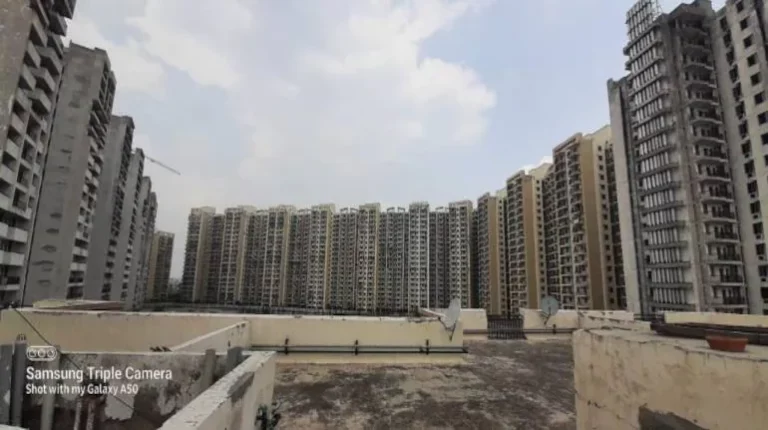 SARE HOMES 770x354 1