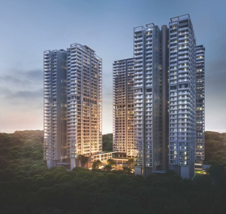 WhatsApp Image 2024 01 11 at 15.56.59