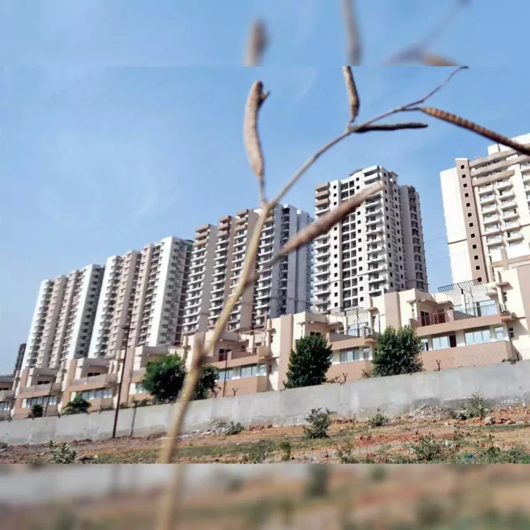 demand for luxury housing on the rise in noida