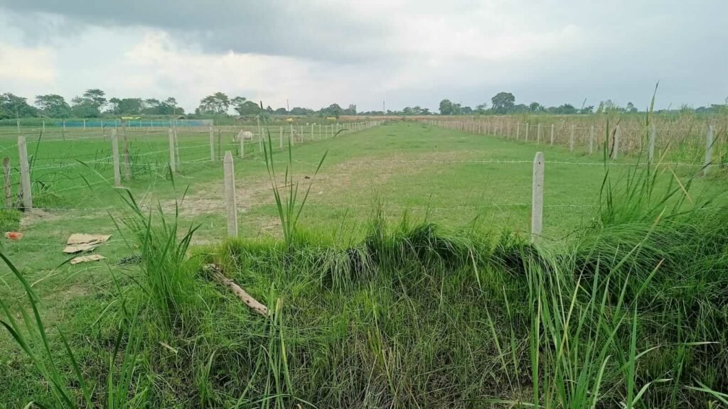 RX Ayodhya 1 Actual Site Image 1