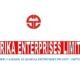 113206.Sharika Enterprises Limited 4