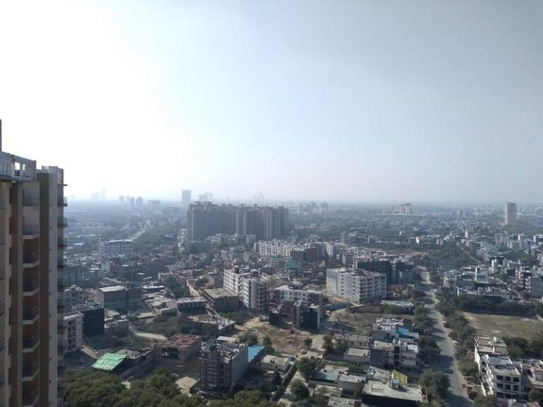 88387 Hawk Eye View 600 900