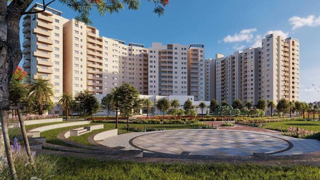 Century Liva 1200x675 1
