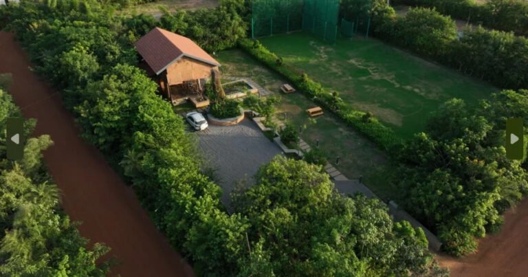 The woods miyawaki forest by stonecraft.jpg