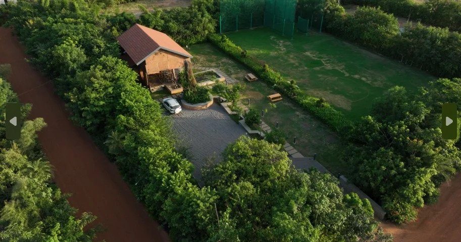 The woods miyawaki forest by stonecraft.jpg