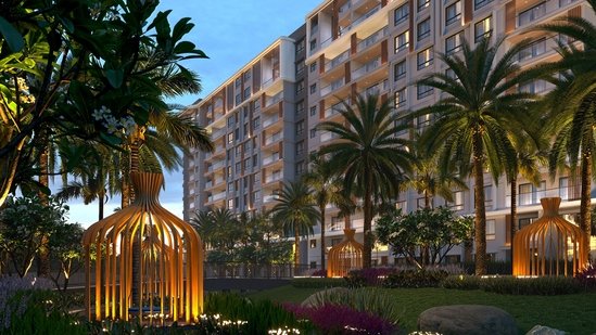 Century 1731570288869 1731570336096