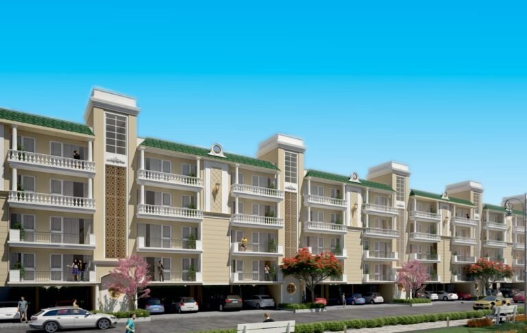 WhatsApp Image 2025 05 20 at 5.05.12 PM