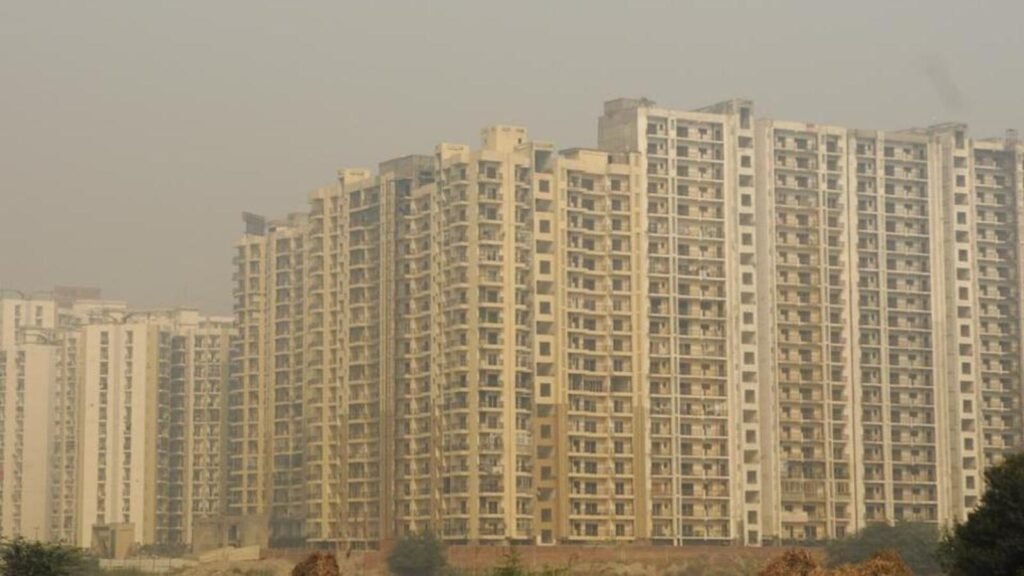 According to the rules the authority issues the o 1701623984237