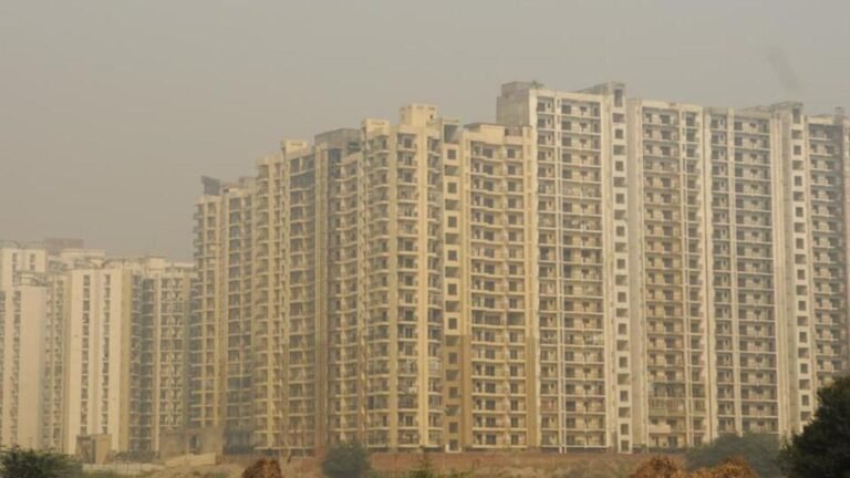 According to the rules the authority issues the o 1701623984237