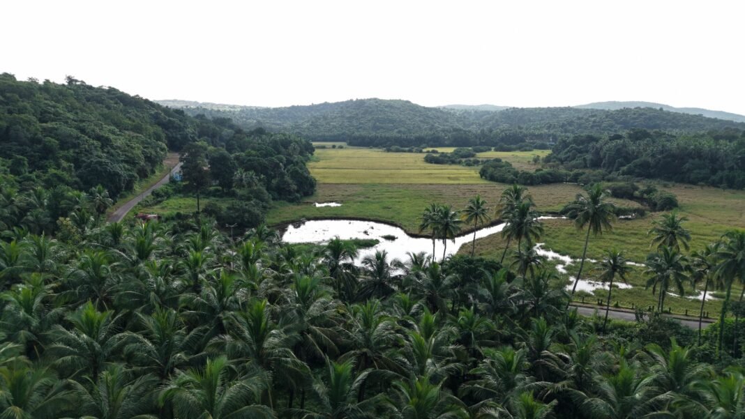 South Goa Isprava scaled