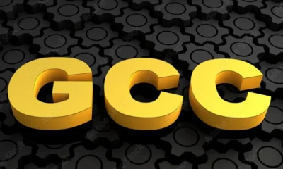 gcc 20241008220243 original image 32