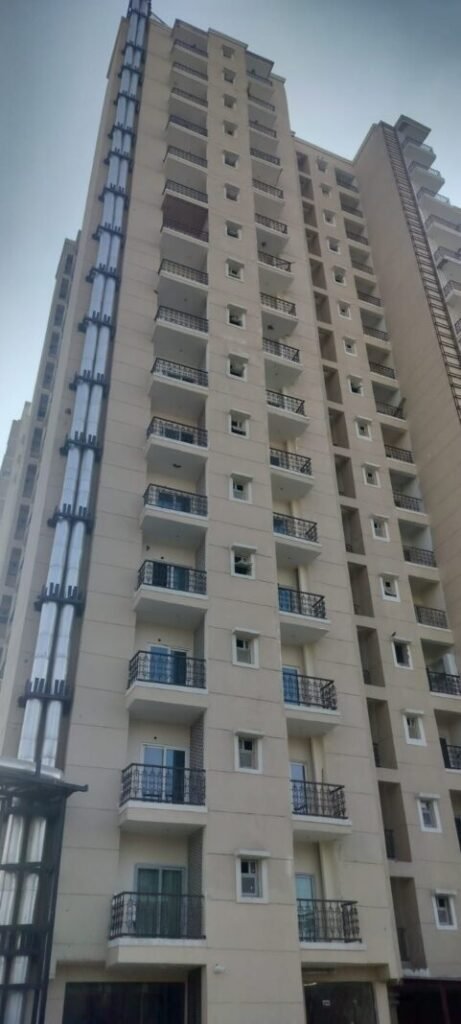 Project pic 2 scaled