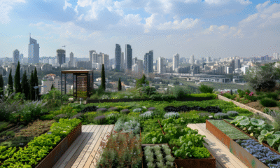 Why Gurugram Needs a Second Urban Masterplan