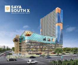 Saya South X.jpg