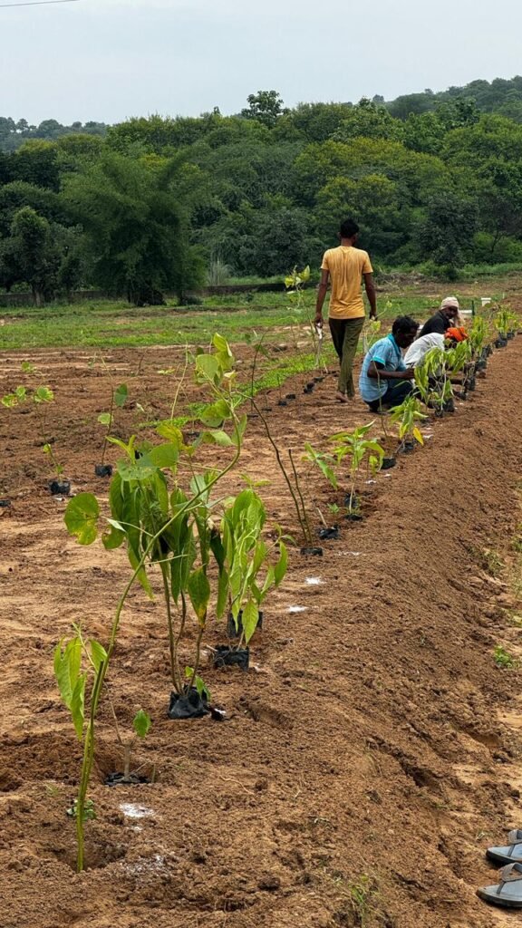 Forest Hill Resort Partners With Afforestt for Large-Scale Native Rewilding in Shivalik Foothills 2 Forest Hill Resort Partners With Afforestt for Large-Scale Native Rewilding in Shivalik Foothills