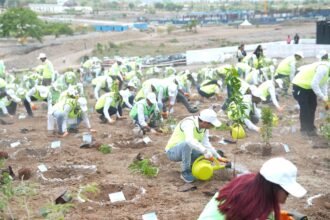 Participants plant a total of 1045 saplings within a minute at Krisala x Hiranandani Township in North Hinjawadi Pune on 5 June 2026